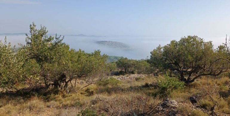 Predstavljanje korisnika: OPG Žmara